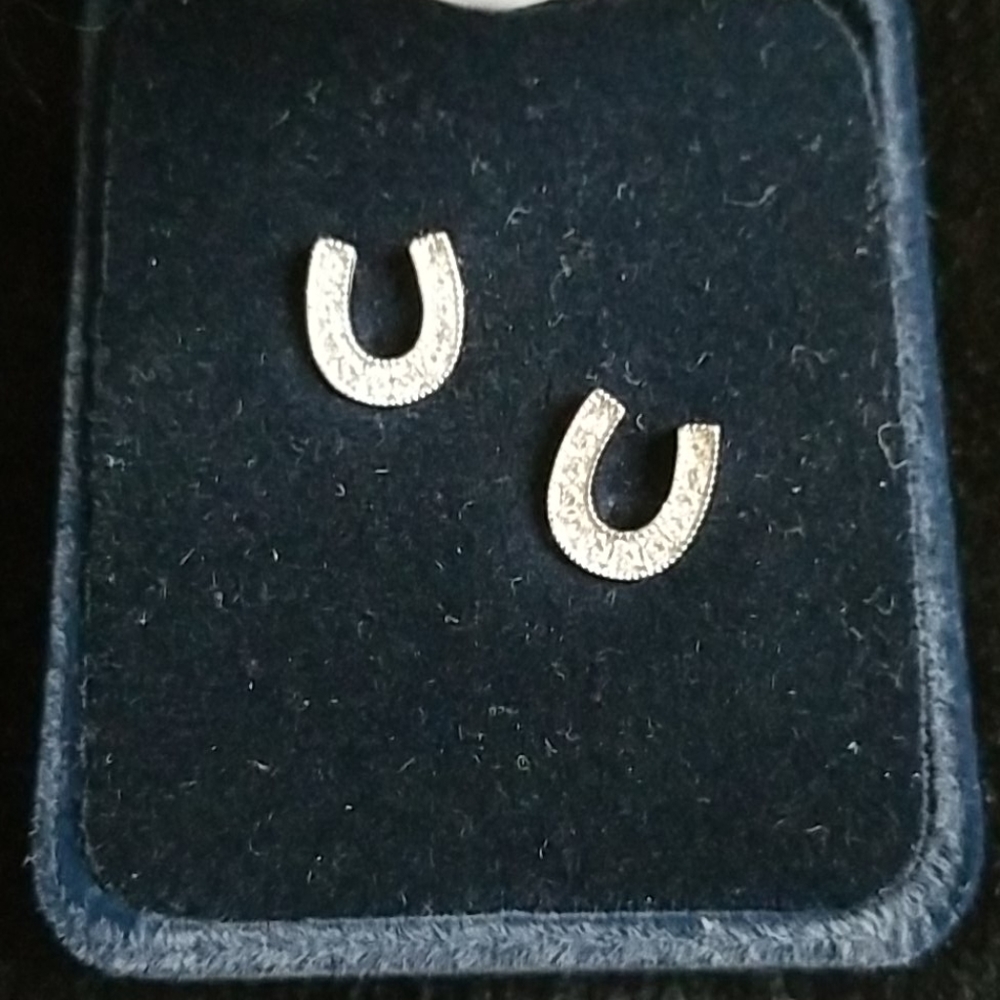 NWOT Horseshoe earrings
